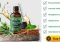 Featured image for Green Tea for Teeth? Natural Plaque and Odor Prevention