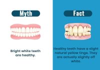 Featured image for Hard Toothbrushing for Whiter Teeth? Myth or Fact?