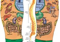 Featured image for Reflexology Massage: Promote Overall Health and Balance Through Targeted Foot Pressure
