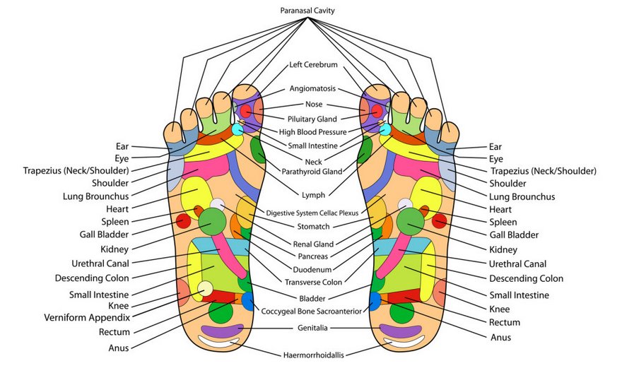 Content image for Reflexology Massage: Promote Overall Health and Balance Through Targeted Foot Pressure