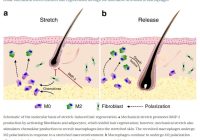 Featured image for Scalp Massage: How to Stimulate Hair Growth