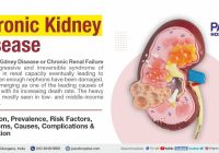 Featured image for Chronic Kidney Disease: Symptoms, Causes, and Therapy Options