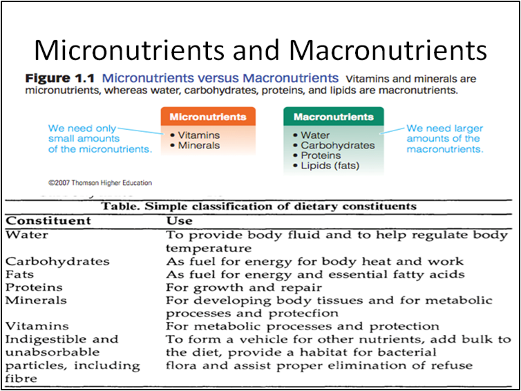 Content image for Macronutrients vs. Micronutrients: Understanding the Essential Building Blocks of a Healthy Diet