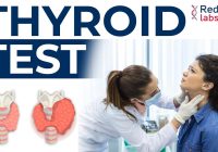 Featured image for Thyroid Diseases: Symptoms, Types, and Hormone Regulation