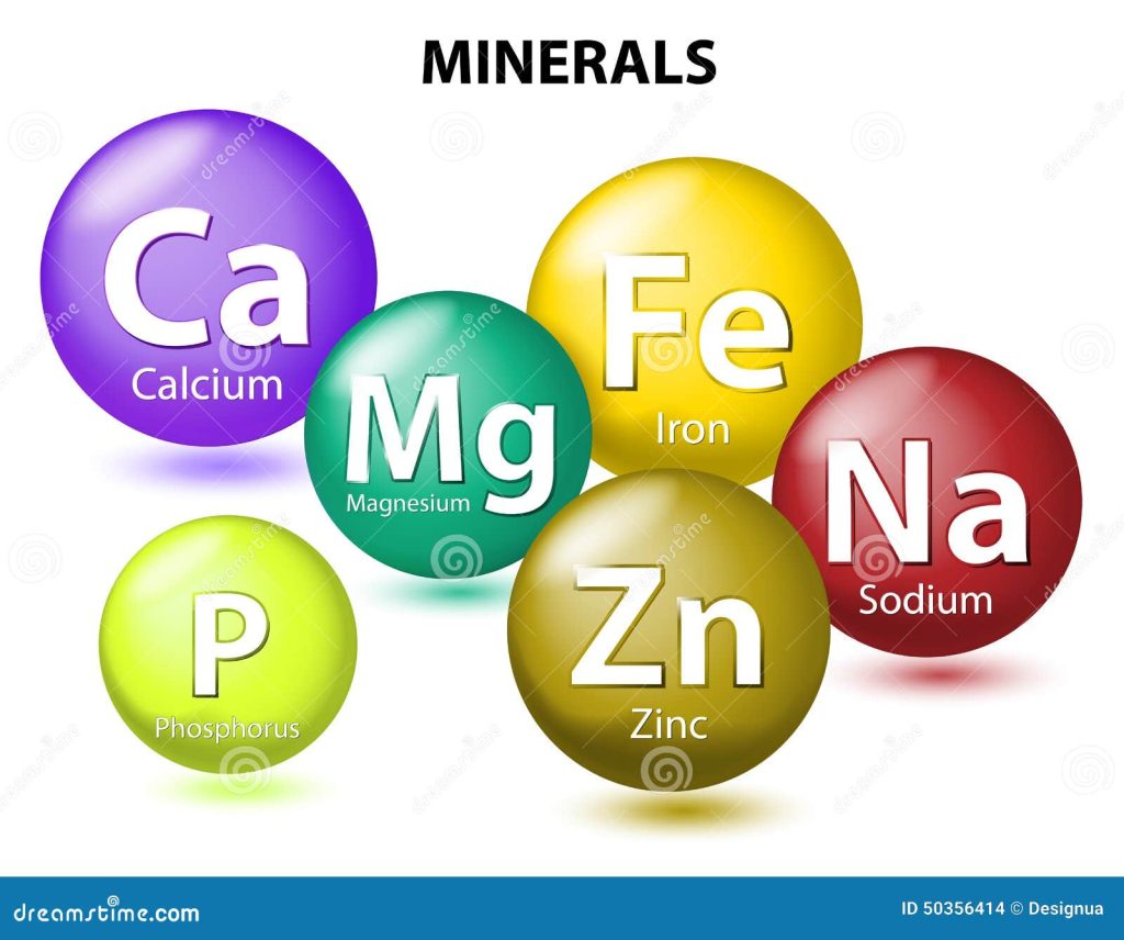 Content image for Vitamins and Minerals: Essential Nutrients for Optimal Body Function and Vitality