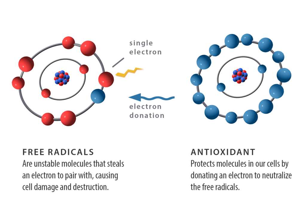Content image for Antioxidant Advantage: Fighting Free Radicals and Protecting Your Cells