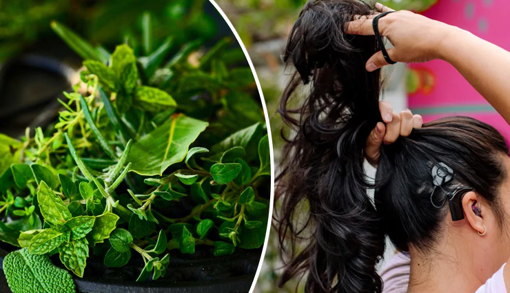 Content image for Hair Loss Treatments: Restoring Confidence and Promoting Healthy Hair Growth Naturally