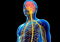 Featured image for Neurological Disorder Treatments: Exploring Therapies for Brain and Nervous System Conditions