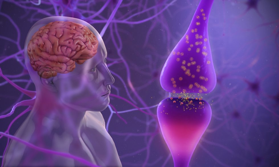 Content image for Neurological Disorder Treatments: Exploring Therapies for Brain and Nervous System Conditions