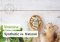 Featured image for Natural vs. Synthetic Supplements: Exploring the Differences and Which is Best