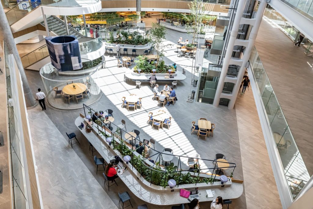 Content image for Supplements for a Healthy Lifestyle: Enhancing Your Overall Quality of Life