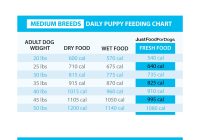 Featured image for Supplements for Specific Needs: Meeting Unique Nutritional Requirements