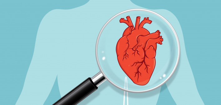 Content image for Supplements for Heart Disease: Protecting Cardiovascular Health